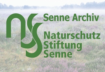 Senne Leading Image 2